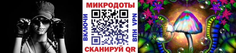 магазин продажи   Пенза  Псилоцибиновые грибы прущие грибы 